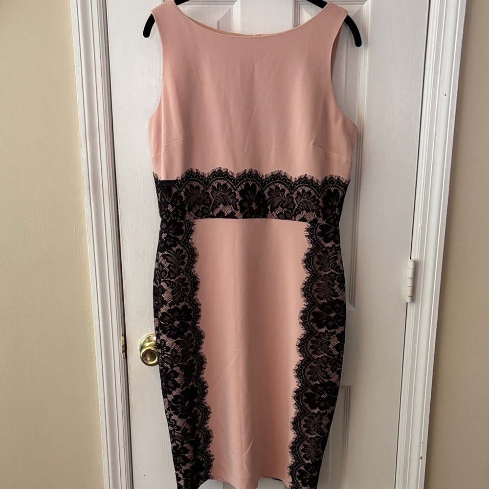 The Limited Blush and Black Lace Dress